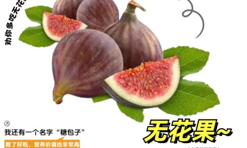 芝麻核桃的功效-芝麻核桃粉功效网- 芝麻核桃馅怎么做知识,分享芝麻核桃的功效